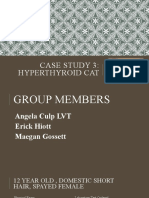 Case Study 3 Hyperthyroid Cat