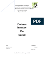 Determinantes de La Salud Informe