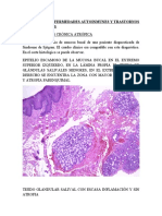 3° PRACTICA DE II FASE - PATOLOGÍA I