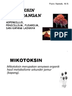 Mikotoksin