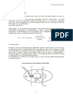 Translated Saccharides German PDF