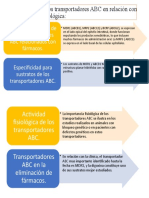 Propiedades de Los Transportadores ABC en Relación Con