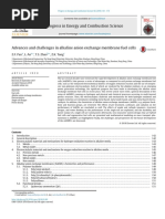 Advances and Challenges in Alkaline Anion Exchange Membrane Fuel Cells