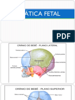 ESTÁTICA FETAL