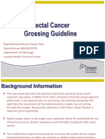 Rectal Cancer Grossing Guideline