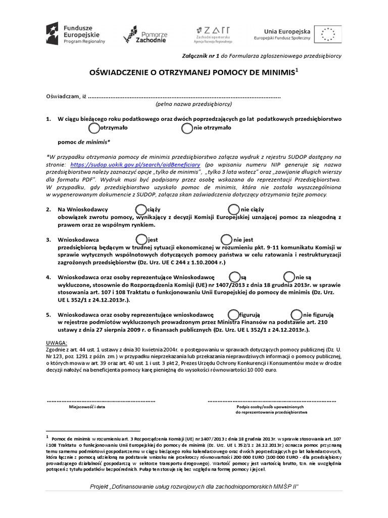1 - 1 Oświadczenie de Minimis 3 | PDF