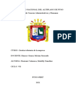 Universidad Nacional Del Altiplano de Puno