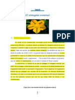 Estructura y tipos de sintagma nominal