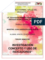 Investigacion de Indicadores. Araceli Zunun Flores. 