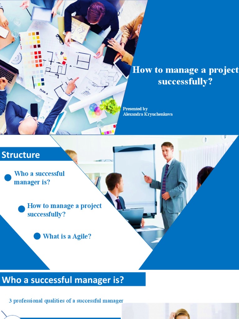 Successful Project Management Strategies | PDF | Business | Art