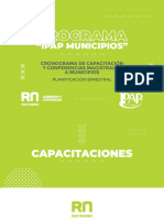 Programa "Ipap Municipios"