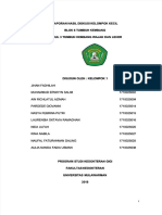 PDF Kelompok 1 DL