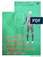 Anatomi Manusia