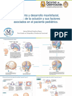 Crecimiento y Desarrollo Maxilofacial