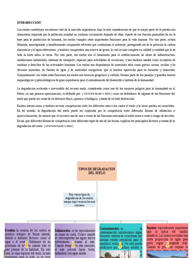 Causas y Consecuencias de la Degradación del Suelo | PDF | Suelo ...