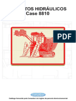 Case 8810 Descritivo