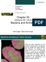 2-1 - Bacterias y Arqueas