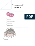 Cell Organelle Functions 1st Assessment