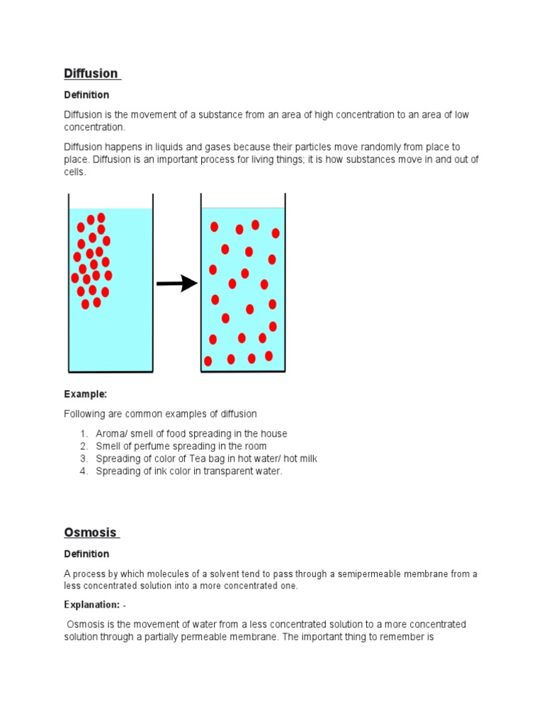 Difussion and Osmosis | PDF | Osmosis | Cell Biology, image size:768x1024