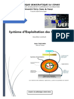 Système D'exploitation