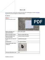 Burn Lab Worksheet - Abby Colemere