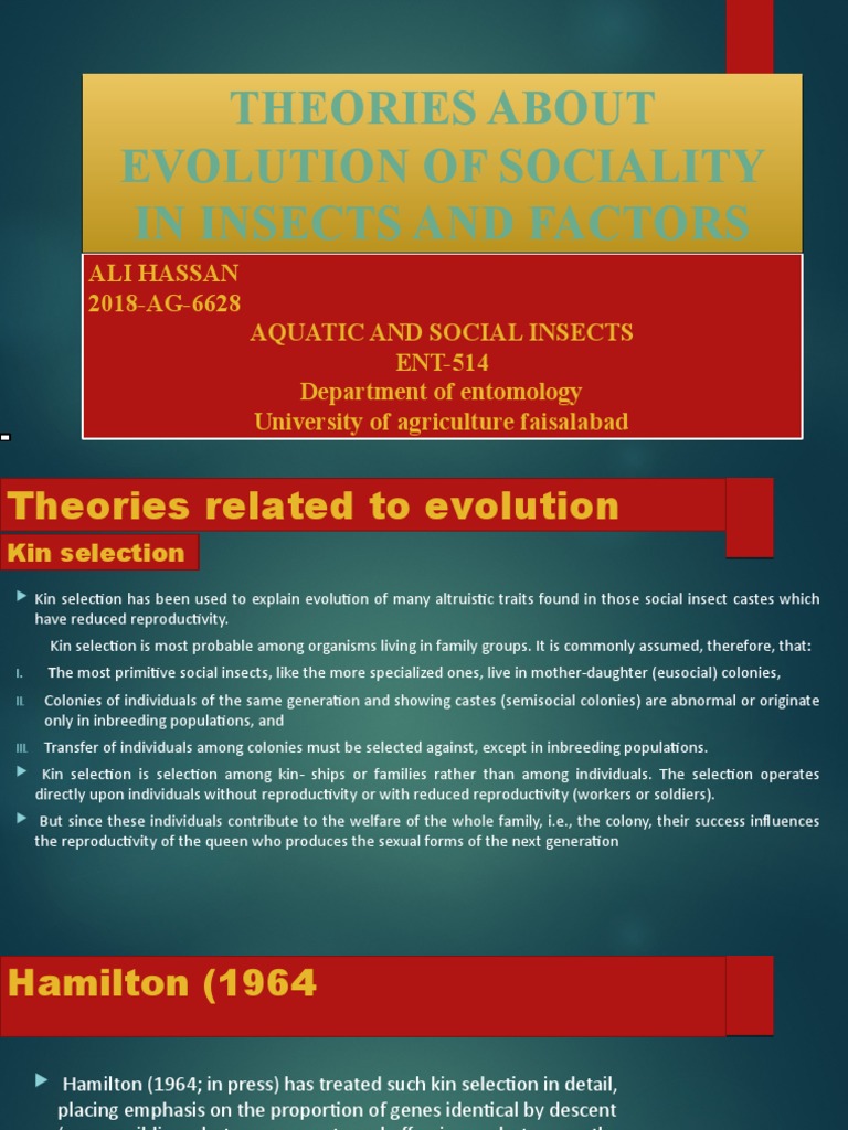 Ali Hassan (Ent-514) | PDF | Eusociality | Biological Evolution