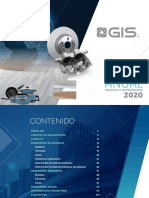 2020 GIS Informe Anual