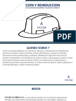 Induccion de SG-SST VICCOM