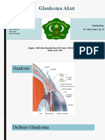 LAPKAS - Glaukoma - Akut