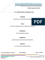 Formas de Capital Social y Sus Diferentes Dinámicas