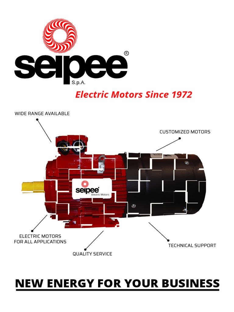 Seipee Electric Motors Catalogue | PDF | Electric Motor | Alternating ...