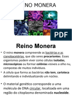 Reino Monera