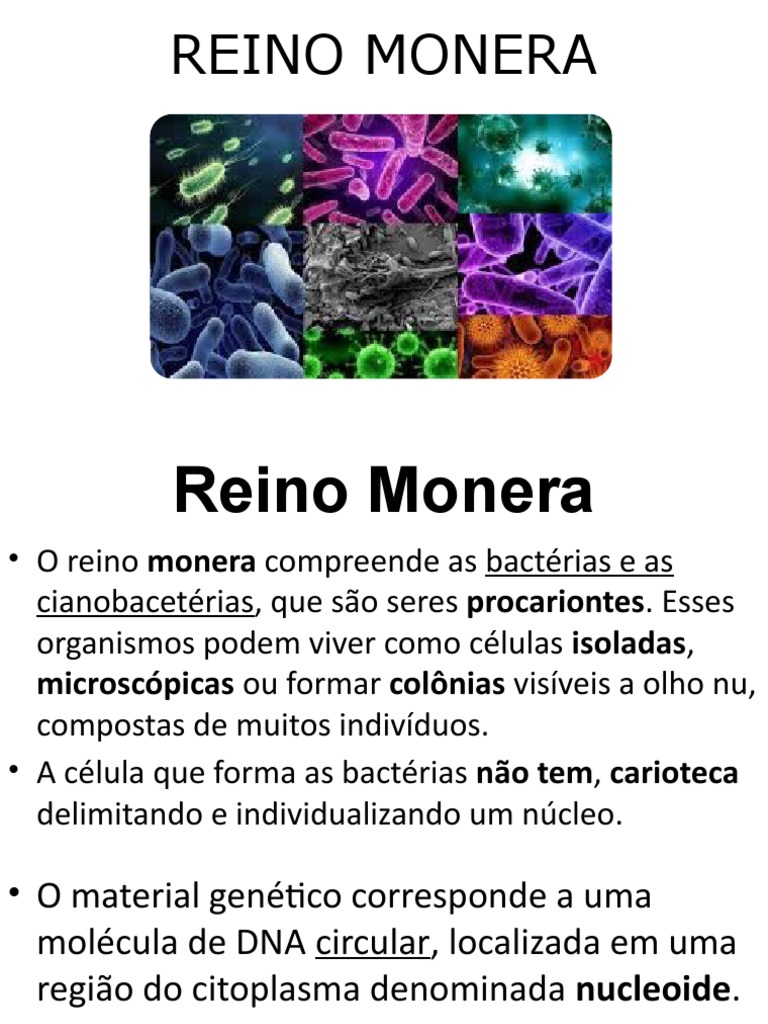 Reino Monera | PDF | Cianobactéria | Bactérias
