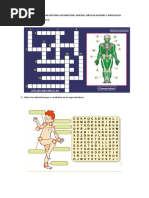 Completa El Crucigrama:: Guia de Trabajo Sistema Locomotor: Huesos, Articulaciones Y Músculos