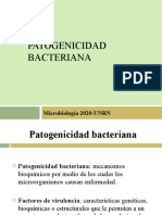 Patogenicidad Bacteriana