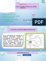 Práctica #06 Glutation