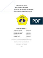 Laporan Kloramfenikol PDF Free Dikonversi