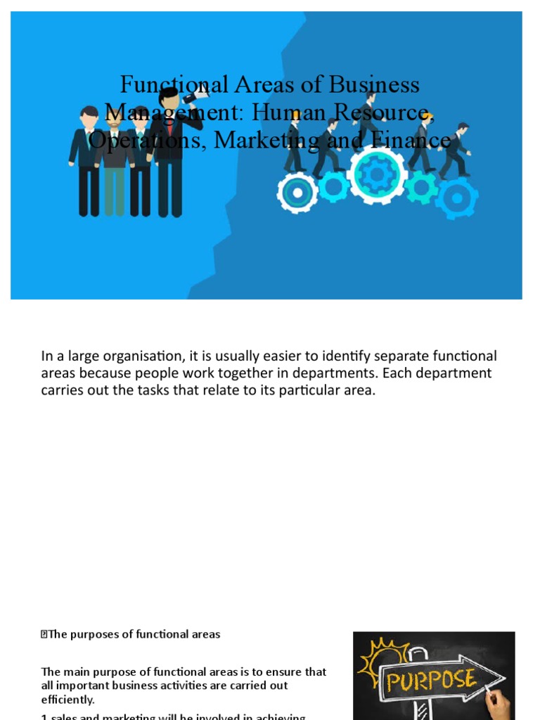 Applications Of Information Systems To Functional Business Areas Pdf