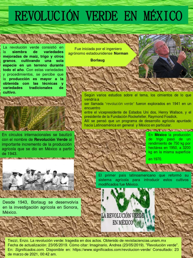 Revolución Verde PDF Revolución verde Agronomía