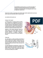 Estudios Diagnósticos