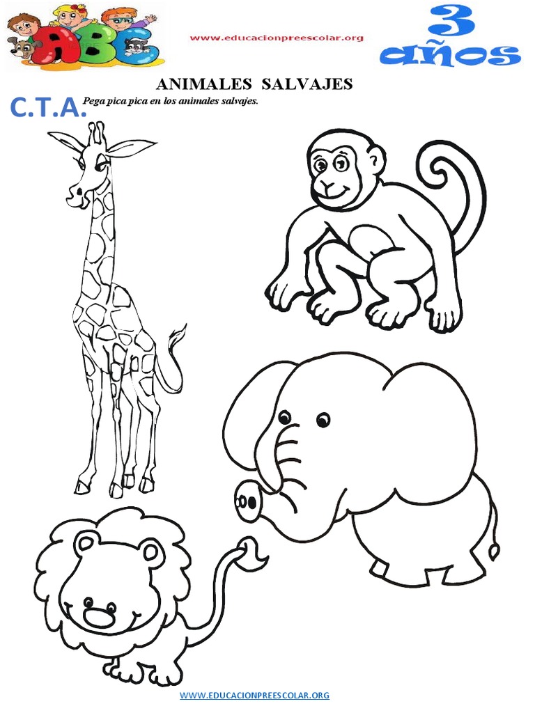 Animales Salvajes para Niños de 3 Años | PDF