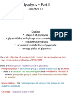 12 - Glycolysis Pt. II
