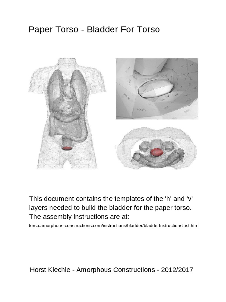Paper Torso - Bladder For Torso | PDF