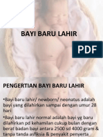 Bayi Baru Lahir