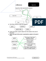 Spot The Difference: 1 This Diagram Shows The Male Reproductive System