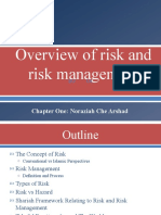 Overview of Risk and Risk Management: Chapter One: Noraziah Che Arshad