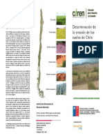 Triptico Vii Region