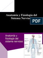 Anatomia y Fisiología Del Sistema Nervioso