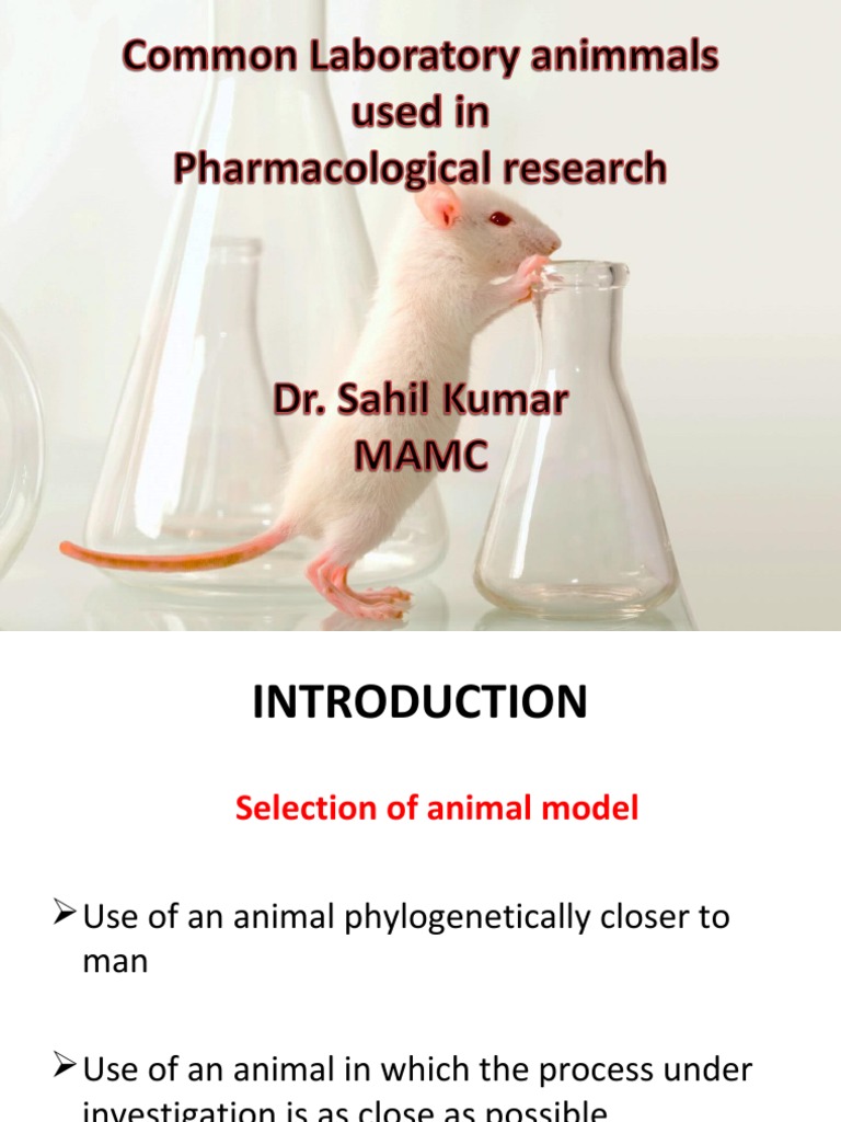Animal Models in Biomedical Research | PDF | Transgene | Genetically ...
