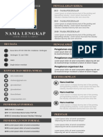 CV Template 3